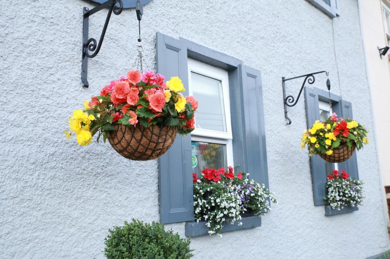 Madelines Accommodation Tinahely Dış mekan fotoğraf